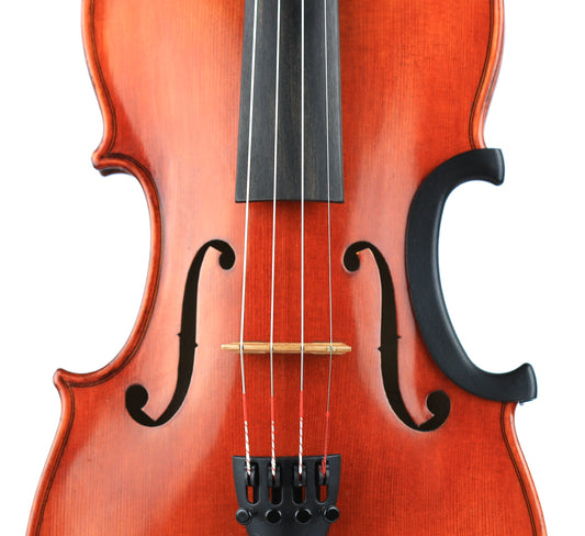 C Clip violin C bout ribs protector fits 4/4 Violin & 14” viola Made in USA