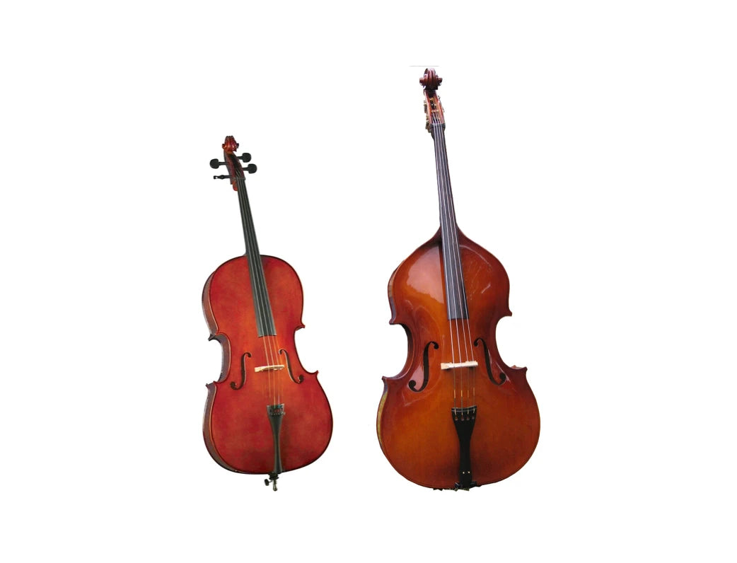 Cello/Double Bass