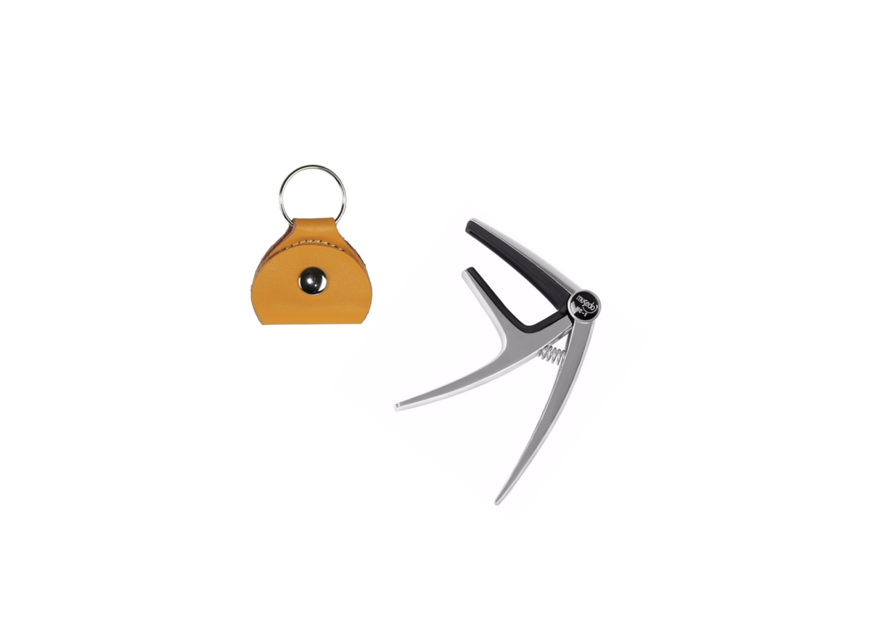 Guitar Accessories