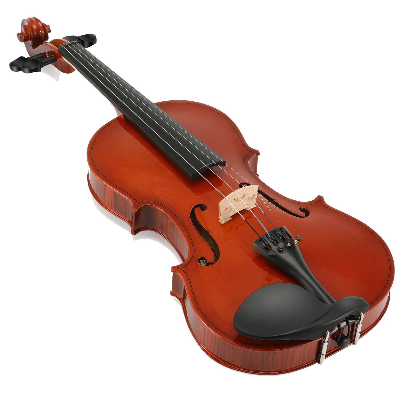 Viola